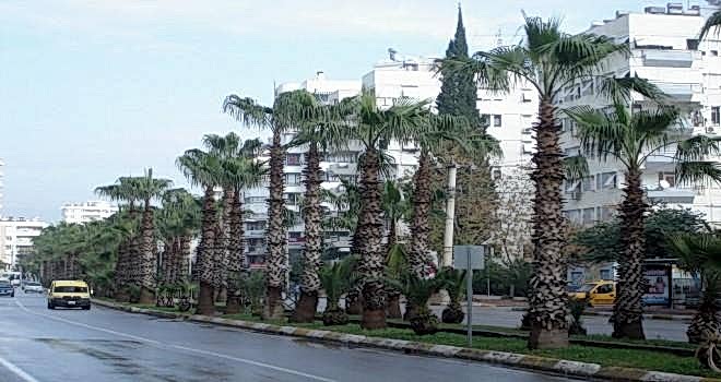 Bakı Binəqədi Mahallesi Çilingir